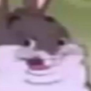 Meet your Posher, Afton